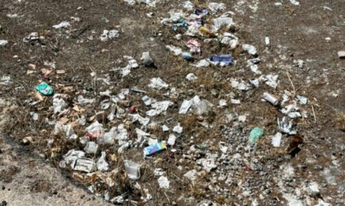 Diverse segnalazioni di sporcizia e degrado. Piazza Regina Margherita ridotta a una discarica