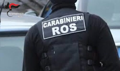 Maxi blitz della Procura antimafia svolto dai carabinieri. Voti di scambio: arrestato il sindaco di Ramacca, un consigliere e il deputato regionale Castiglione