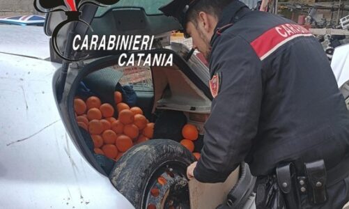 Furto di arance: arrestato un pregiudicato catanese